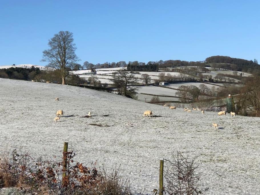 5F Stanley Lodge, Caer Beris, Builth Wells - No Tradesman Exteriör bild
